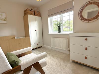 Picture 15